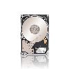 Seagate Constellation .2 2.5" 500 GB SAS1