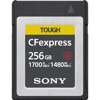 Sony CEB-G256 memory card 256 GB PC Card1