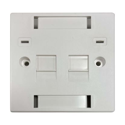Tripp Lite N042U-W02-ST wall plate/switch cover White1