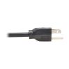 Tripp Lite P022-001-13A power cable Black 11.8" (0.3 m) NEMA 5-15P NEMA 5-15R5
