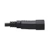 Tripp Lite P002-18N-2R power cable Black 18.1" (0.46 m) IEC C14 2 x NEMA 5-15R7