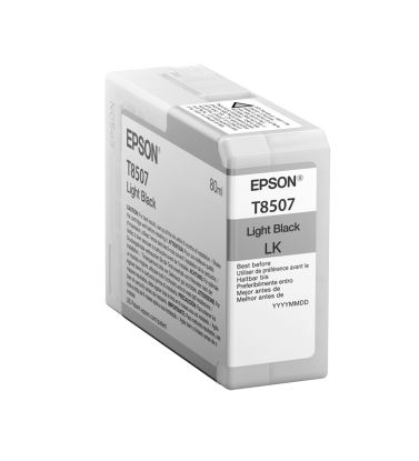 Epson T850700 ink cartridge 1 pc(s) Original Light black1