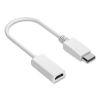 DisplayPort to HDMI Adapter, 6", White1