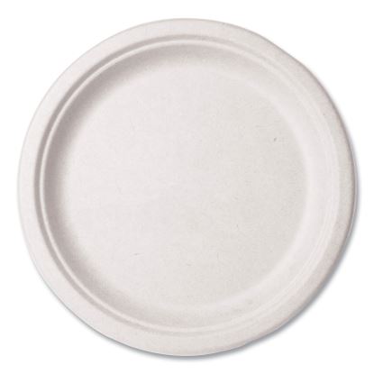 Molded Fiber Tableware, Plate, 10" Diameter, White, 500/Carton1