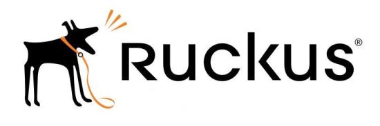 RUCKUS Networks ICX6450-SVL-RPSDPM-1 warranty/support extension1