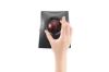 Kensington K72080WW other input device Trackball Bluetooth/USB Black9