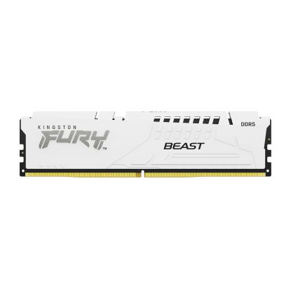 Kingston Technology FURY Beast memory module 16 GB 1 x 16 GB DDR5 5600 MHz1