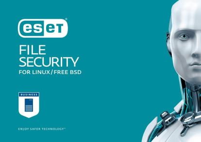 ESET Server Security 1 year(s)1