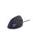 Urban Factory EMR01UF-N mouse Right-hand USB Type-A Optical 3600 DPI1