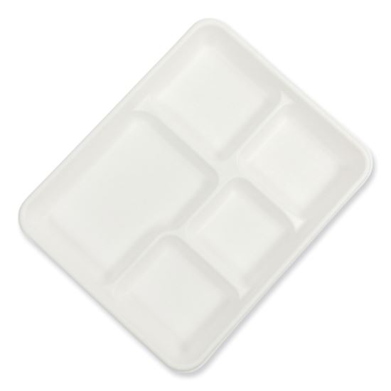 AmerCareRoyal® Bagasse PFAS-Free Food Tray1