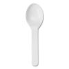 World Centric® PLA Compostable Cutlery1