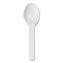 World Centric® PLA Compostable Cutlery1