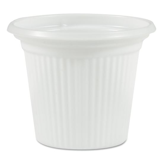 Plastifar Plastic Condiment Cups1