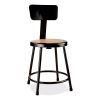 NPS® 6200 Series 18" Heavy Duty Steel Stool With Backrest1