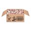 180 Count Bulk Liquid Coffee Creamer, Vanilla Caramel, 0.38 oz, 180/Carton1