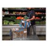 Fresh Eco Freeze Tote, 13.5 x 9 x 13, Silver/Blue, 4/Carton7