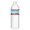 Natural Alpine Spring Water, 16.9 oz Bottle, 24/Carton5