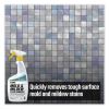 Mold and Mildew Stain Remover, 32 oz Spray Bottle, 6/Carton4