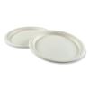 Bagasse PFAS-Free Dinnerware, Plate, 10" dia, White, 500/Carton2