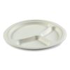 Bagasse PFAS-Free Dinnerware, 3-Compartment Plate, 10.24" dia, White, 500/Carton3