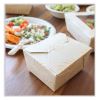 World Centric® No Tree™ Folded Takeout Containers3