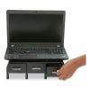 Perch Monitor Stand and Desk Organizer, 13.46" x 12.87" x 2.72", Black/Silver2