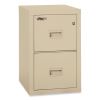 Compact Turtle Insulated Vertical File, 1-Hour Fire, 2 Legal/Letter File Drawers, Parchment, 17.75" x 22.13" x 27.75"2