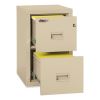 Compact Turtle Insulated Vertical File, 1-Hour Fire, 2 Legal/Letter File Drawers, Parchment, 17.75" x 22.13" x 27.75"4