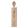 Wood Cutlery, Spoon, Natural, 500/Carton2