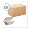 White Molded Fiber Clamshell Containers, 9 x 11 x 2, White, Sugarcane, 250/Carton2