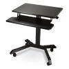 Mobile Height Adjustable Standing Desk with Keyboard Tray, 25.6 x 17.7 x 29 to 44, Black, Ships in 1-3 Business Days3