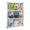 Luxe Magazine Rack, 9 Compartments, 31.75w x 5d x 41h, Clear/Silver, Ships in 1-3 Business Days2