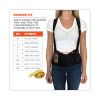ProFlex 1650 Economy Elastic Back Support Brace, 3X-Large, 46" to 52" Waist, Black, Ships in 1-3 Business Days3
