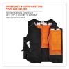 Chill-Its 6260 Lightweight Phase Change Cooling Vest w/ Packs, Cotton/Polyester, Large/XL, Black, Ships in 1-3 Business Days2