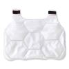 Chill-Its 6220 Phase Change Cooling Vest Charge Packs, Large/X-Large, 14.75 x 18, Ships in 1-3 Business Days3