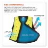Chill-Its 6685 Premium Dry Evaporative Cooling Vest with Zipper, Nylon, 4X-Large, Lime, Ships in 1-3 Business Days3