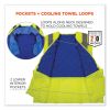 Chill-Its 6668 Class 2 Hi-Vis Safety Cooling Vest, Polymer, Small, Lime, Ships in 1-3 Business Days6