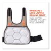 ergodyne® Chill-Its 6230 Standard Phase Change Cooling Vest with Packs2