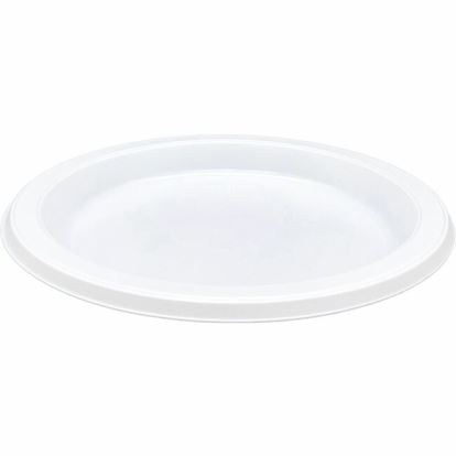 Genuine Joe Disposable Plastic Plate1