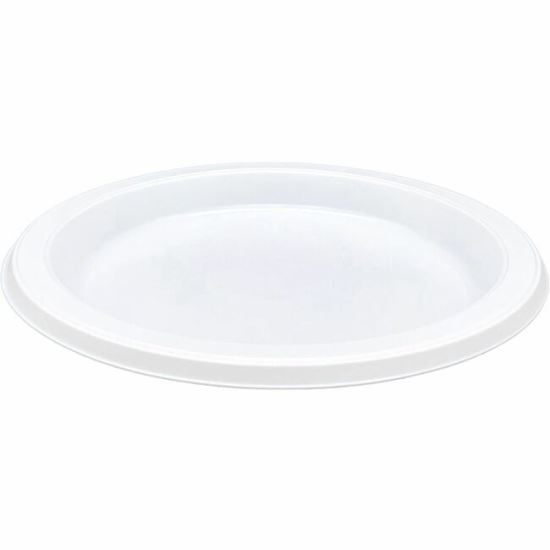 Genuine Joe Disposable Plastic Plate1