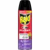 Raid Ant & Roach Killer Spray1