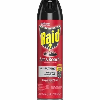 Raid Ant & Roach Killer Spray1