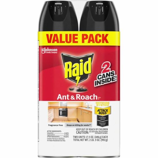 Raid Ant & Roach Killer Spray1