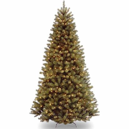 National Tree Christmas Tree - Green, Clear1