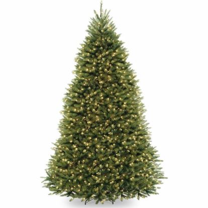 National Tree Dunhill Christmas Tree - Clear, Green1