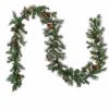 National Tree Decorative Garland - Red, Clear1