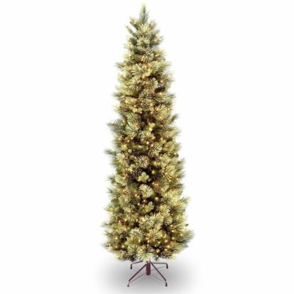 National Tree Christmas Tree - Clear, Green1