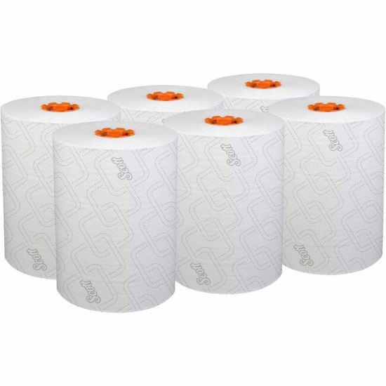 Scott Paper Towel1