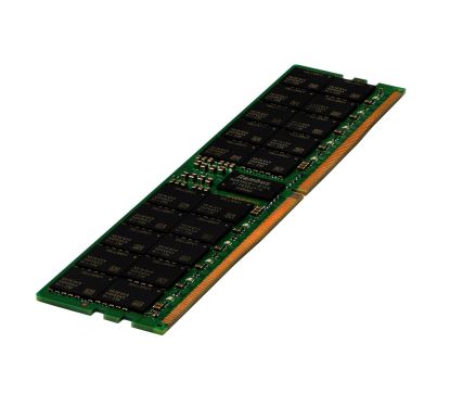 HPE P43337-B21 memory module 256 GB 1 x 256 GB DDR5 4800 MHz ECC1