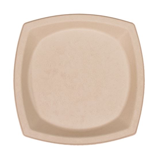 Compostable Fiber Dinnerware, ProPlanet Seal, Plate, 10 x 10, Tan, 125/Pack1